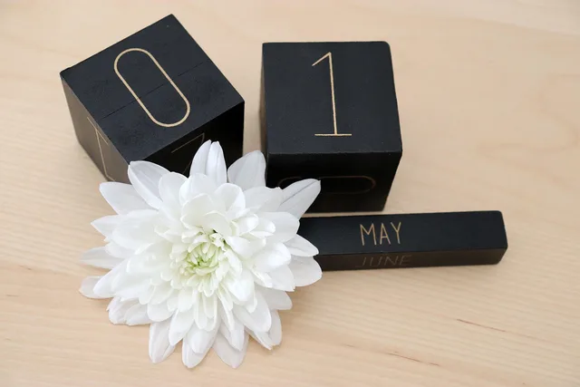 first, may, holiday, may day, beautiful flowers, the work day, calendar, date, nature, flower, white, flower background, spring, new beginning, flower wallpaper, bloom, beginning of spring, hope, labor movement. How state tax deadline differences change what preparers calendar