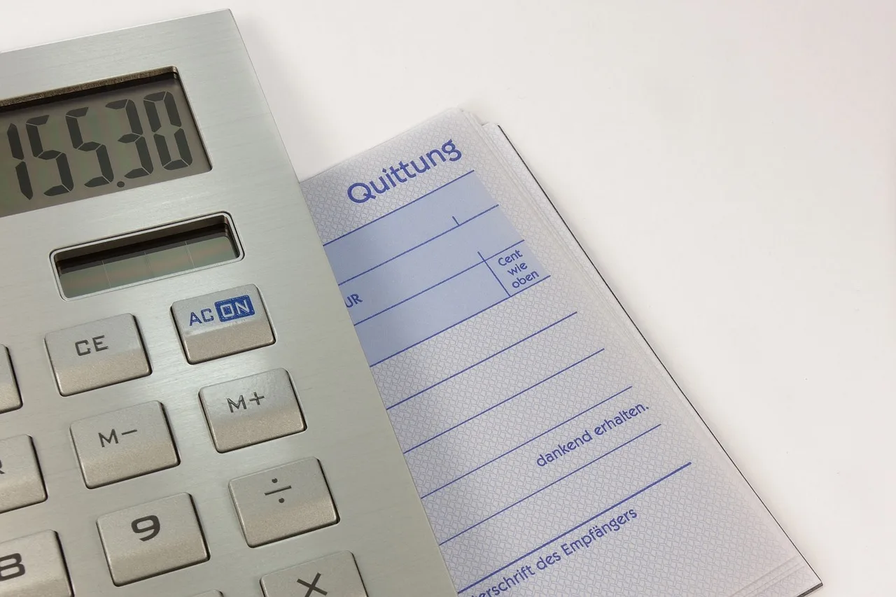 calculator, pay, receipt, bills, debts, calculate, mathematics, calculation, receipt block, invoice, control, tax return, receipt, invoice, invoice, invoice, invoice, invoice. What to put in a tax preparation business package, explained