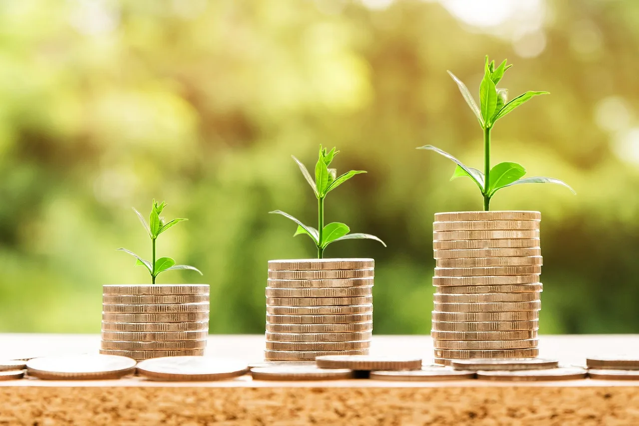 money, profit, finance, business, return, yield, financial, cash, currency, investment, banking, wealth, coin, economy, success, loan, salary, rich, credit, payment, savings, save, deposit, growth, income. Daily operating checklist for a tax preparation business for owner-operators