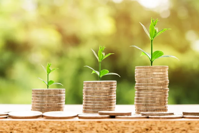 money, profit, finance, business, return, yield, financial, cash, currency, investment, banking, wealth, coin, economy, success, loan, salary, rich, credit, payment, savings, save, deposit, growth, income. Daily operating checklist for a tax preparation business for owner-operators